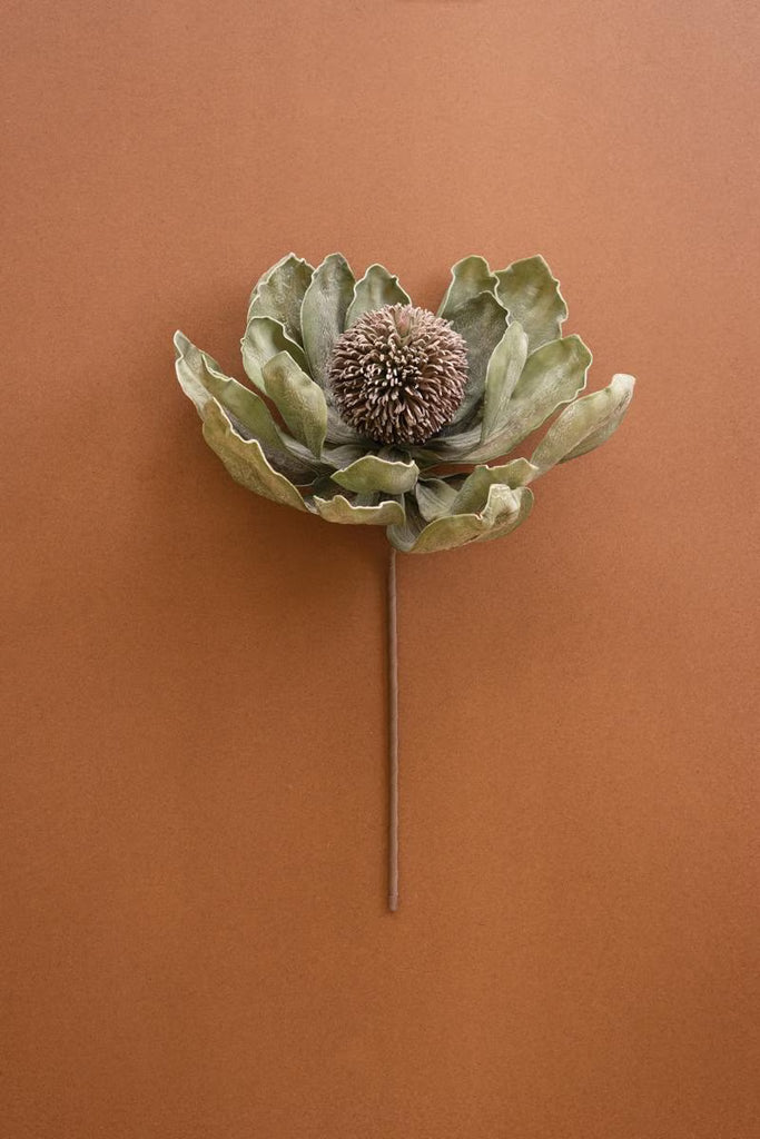 Set of 6 Botanica #3689 – image 1