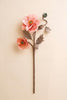 Set of 6 Botanica #2889 – image 3
