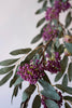 Set of 6 Botanica #9022 – image 3