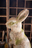 FAUX CONCRETE RABBIT - HEAD FORWARD — Kalalou CHE1471