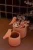 Set of 2 Concrete Planters with Birds - Terracotta - view 3