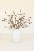 Set of 6 Botanica #2863 – image 2