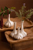 Set of 2 Ceramic Garlic Bud Vases - image 4