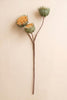 Set of 6 Botanica #3700 – image 3