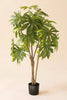 Artificial 4' Japanese Aralia in Plastic Pot – image 3