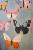 Framed Butterfly Painting – image 4