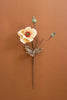 Set of 6 Botanica #2895 – image 1