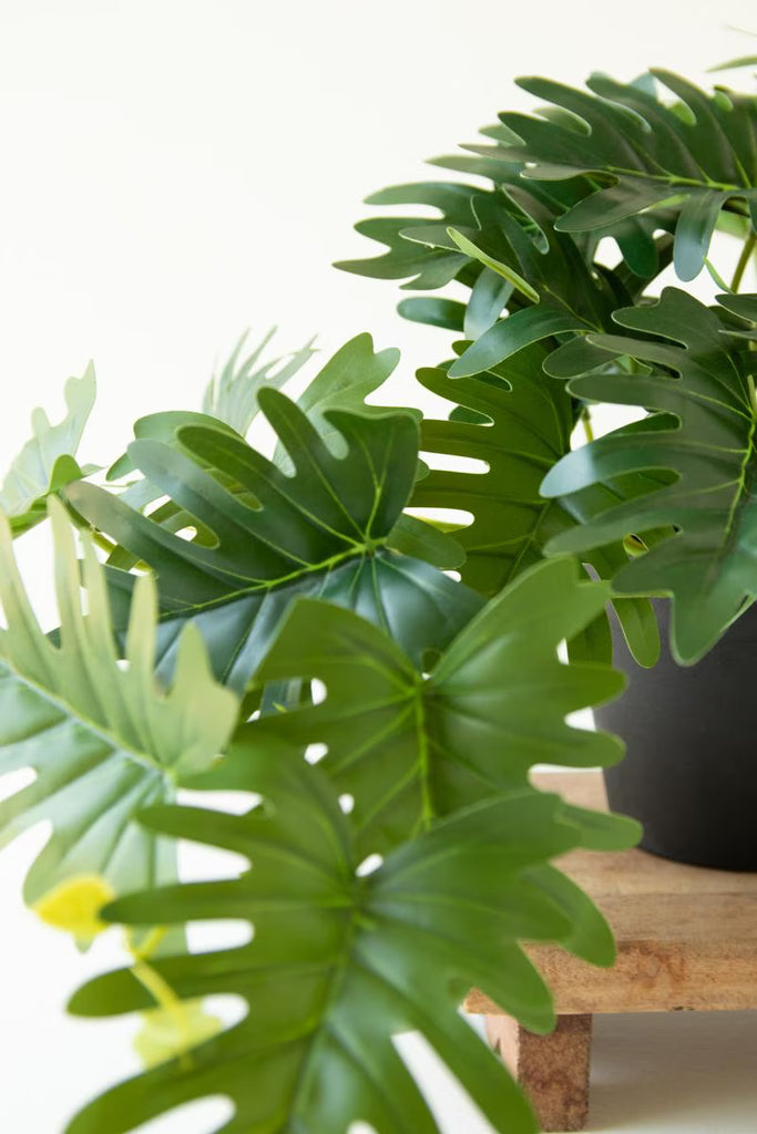 Set of 6 Artificial Mini Philodendron in a Black Plastic Pot – image 5