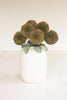 Set of 6 Botanica #3620 – image 1