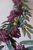 Set of 6 Botanica #9022 – image 2