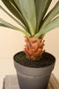 Artificial Sisal Plant in Black Plastic Pot - 27" – image 2