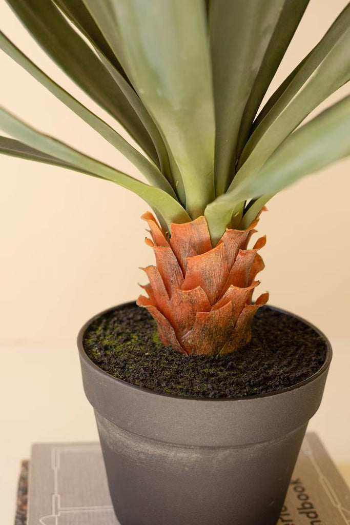 Artificial Sisal Plant in Black Plastic Pot - 27" – image 2