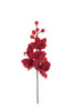 Set of 6 Botanica #2833 – image 4