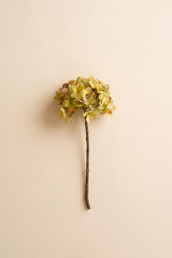 Set of 6 Botanica #2906 – image 3