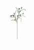 Set of 6 Botanica #3384 – image 1