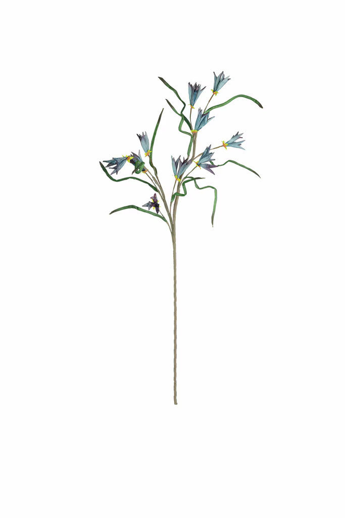 Set of 6 Botanica #3384 – image 1