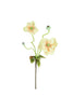 Set of 6 Botanica #2798 – image 4