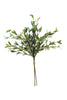 Botanica #2397 - Set Of 6 — Kalalou CSL2397