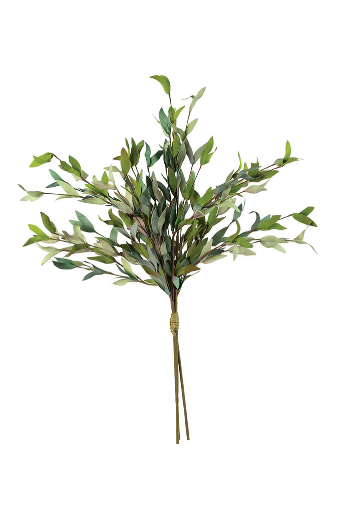 Botanica #2397 - Set Of 6 — Kalalou CSL2397