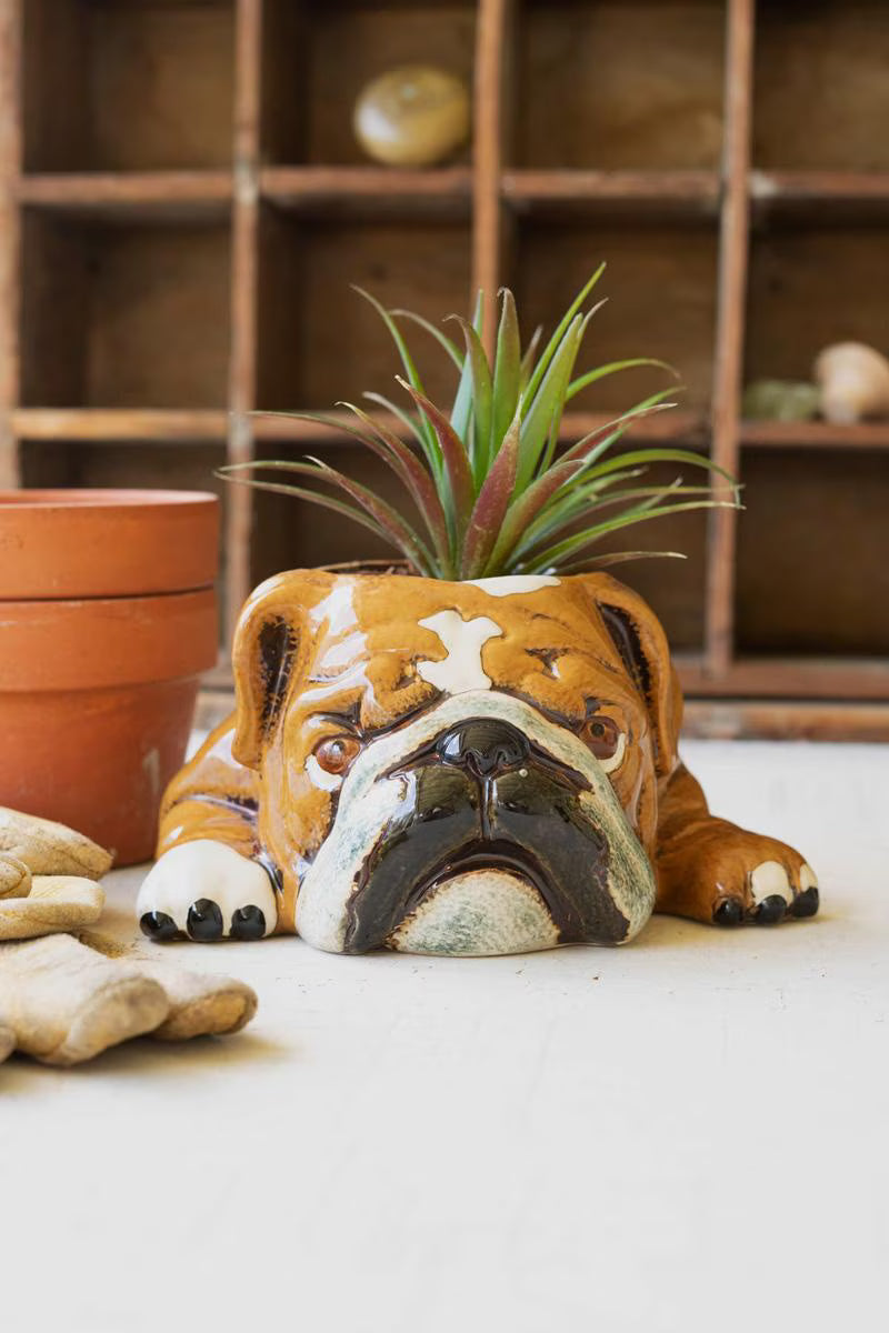 CERAMIC BULLDOG PLANTER (MIN 2) — Kalalou CDV2139K