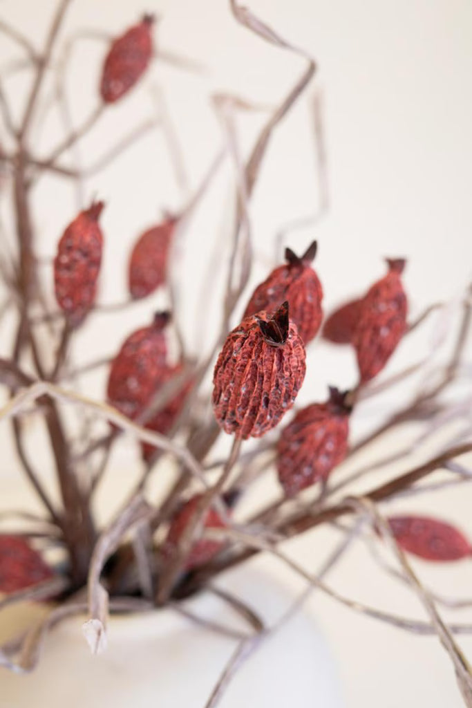 Set of 6 Botanica #2886 – image 4