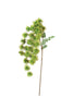 Set of 6 Botanica #3323 – image 3