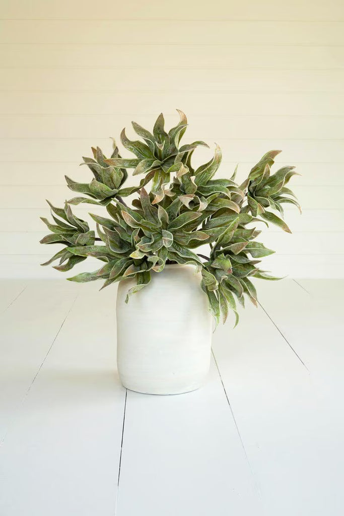 Set of 6 Botanica #2654 – image 1