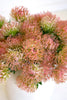 Set of 6 Artificial Pin Cushion Protea - Antique Blush – image 4