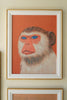 Set of 5 Framed Animal Prints