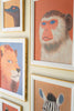 Set of 5 Framed Animal Prints