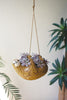 Ceramic Hanging Sloth Planter