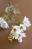 Artificial White Cosmos Spray (Set of 6)