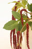 Artificial Crimson amaranthus Spray (Set of 6)
