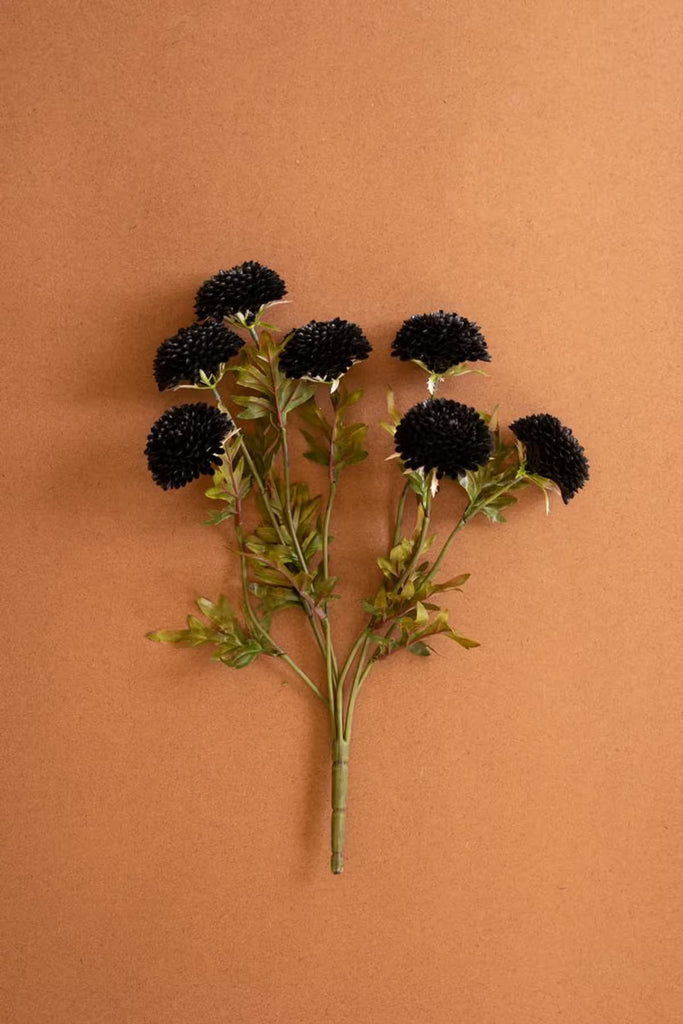 Bundle of 7 Black Ball Dahlias (6 Bundles)