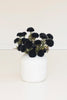 Bundle of 7 Black Ball Dahlias (6 Bundles)