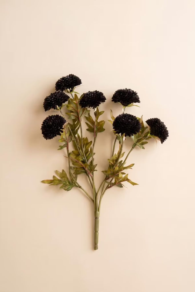 Bundle of 7 Black Ball Dahlias (6 Bundles)