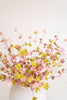 Botanica #9012 (Set of 6)