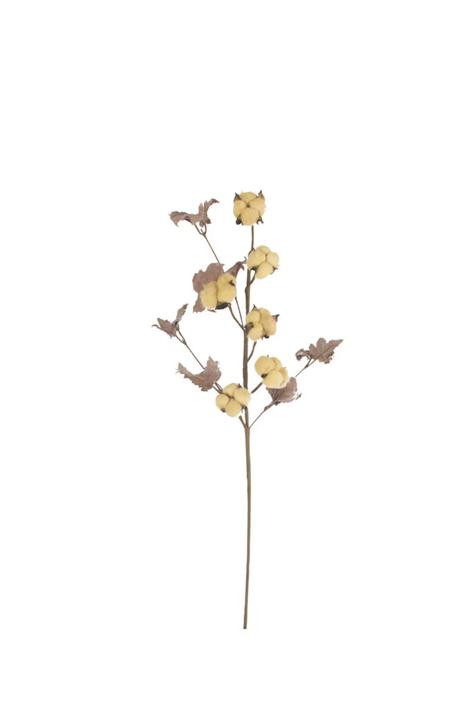 Botanica #9027 (Set of 6)