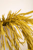 Botanica #9043 (Set of 6)