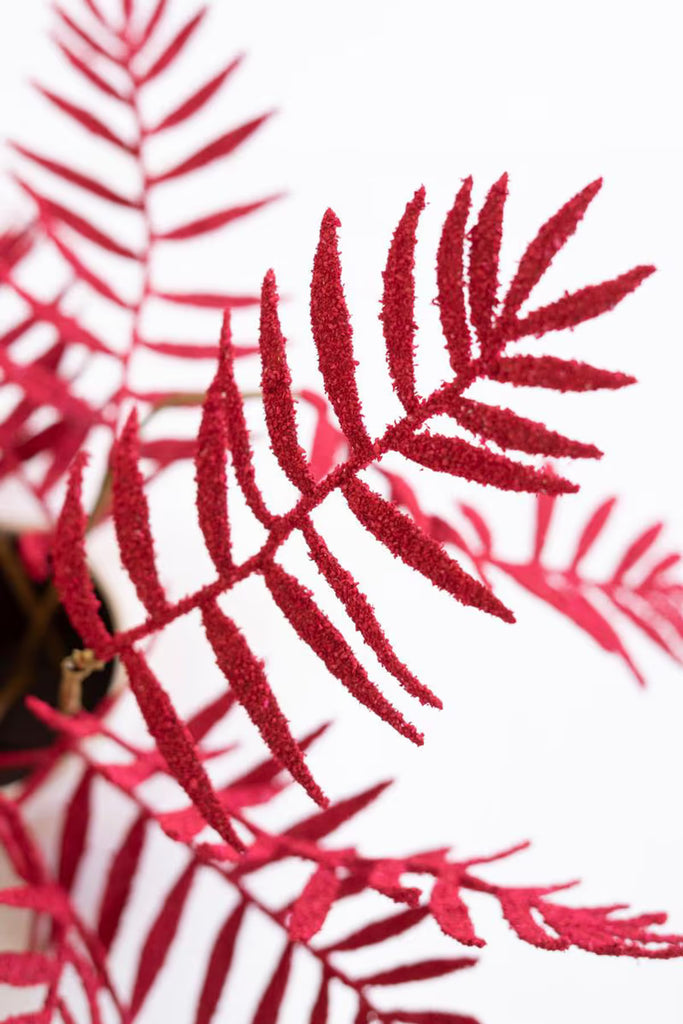 Botanica #9046 (Set of 6)