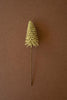 Mini Bottle Brush Trees on a Stem / Yellow (Set of 24)