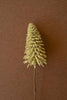 Mini Bottle Brush Trees on a Stem / Yellow (Set of 24)