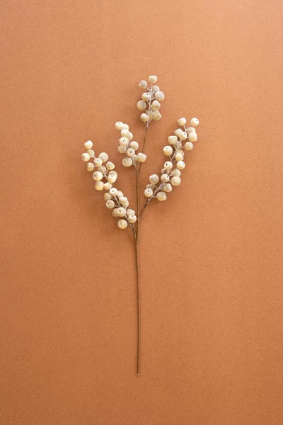 Botanica #9067 (Set of 6)