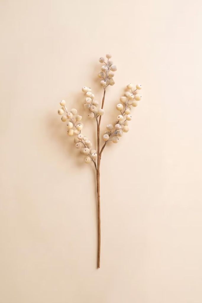 Botanica #9067 (Set of 6)