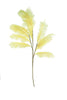 Botanica #2513 (Set of 6)