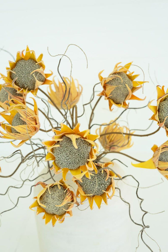 Botanica #2688 (Set of 6)