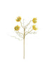 Botanica #2688 (Set of 6)