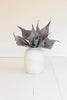 Botanica #2762 (Set of 6)