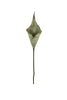 Botanica #2762 (Set of 6)