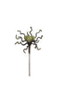 Botanica #2841 (Set of 6)